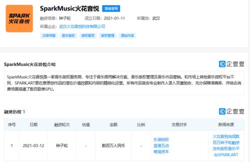 火花音悅獲數百萬種子輪融資，以數據處理服務為引擎，加速音樂版權市場布局