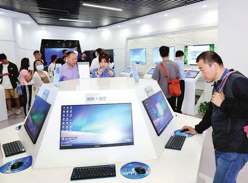 種好梧桐樹，引得鳳凰來 以軟件開發與信息技術咨詢服務為核心，打造總部經濟新高地